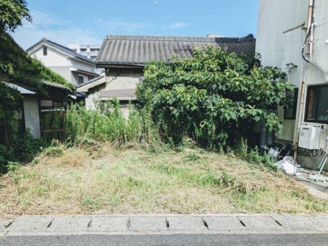 空き家の雑草は市役所に相談できる?関市の相談先と伝える前に準備したいこと