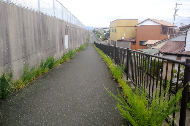 道路の草刈りを勝手にしていい?関市の市道・県道・国道の管理者と相談先を解説